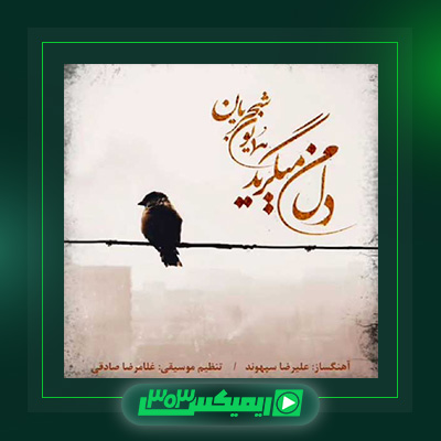 دانلود آهنگ همایون شجریان  به نام دل من میگرید