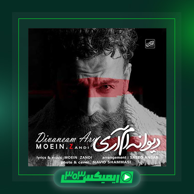 دانلود آهنگ معین زد  به نام دیوانه ام آری