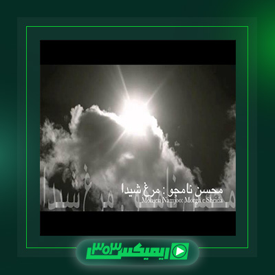 دانلود آهنگ محسن نامجو  به نام مرغ شیدا