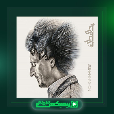 دانلود آهنگ محسن نامجو  به نام نظم