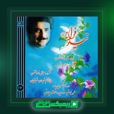 دانلود آهنگ علیرضا افتخاری  به نام نیلوفرانه