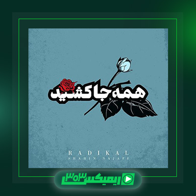 دانلود آهنگ شاهین نجفی  به نام همه جا کشید