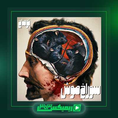 دانلود آهنگ توماج صالحی  به نام سوراخ موش