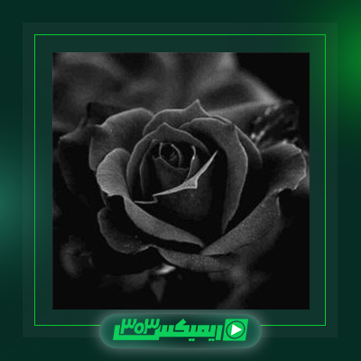 دانلود آهنگ توماج صالحی  به نام طناب دار
