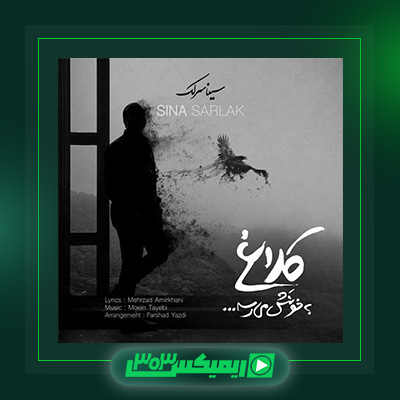 دانلود آهنگ سینا سرلک  به نام کلاغ به خونش میرسه