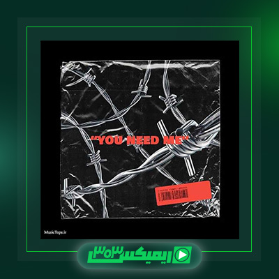 دانلود آهنگ پارسالیپ  به نام You Need Me