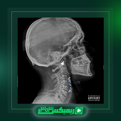 دانلود آهنگ سینازا و هیپهاپولوژیست به نام تاکسیک