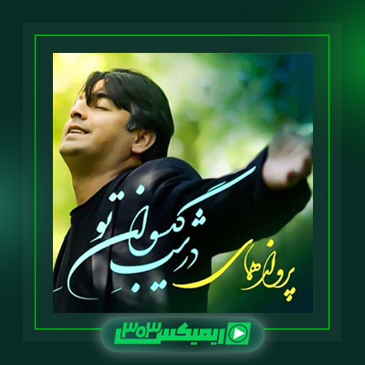 دانلود آهنگ پرواز همای  به نام در شب گیسوان