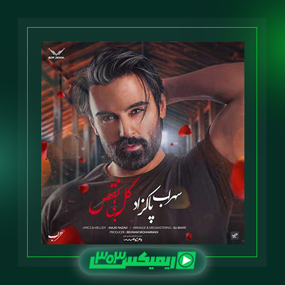 دانلود آهنگ سهراب پاکزاد  به نام گل بی نقص من