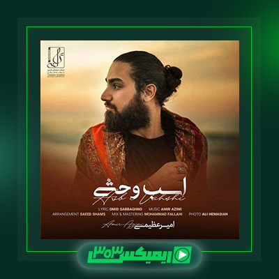 دانلود آهنگ امیر عظیمی  به نام اسب وحشی