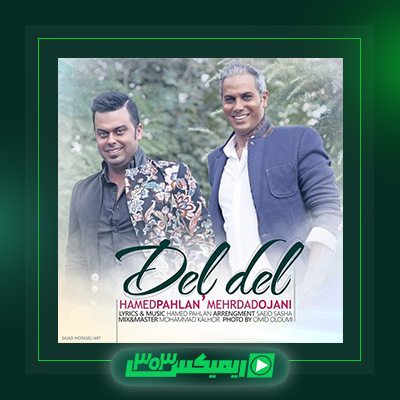 دانلود آهنگ حامد پهلان  به نام دل دل