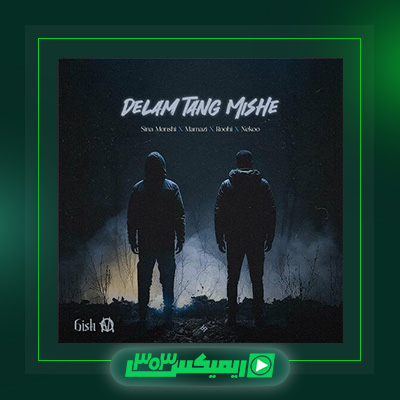 دانلود آهنگ ممزی  به نام دلم تنگ میشه