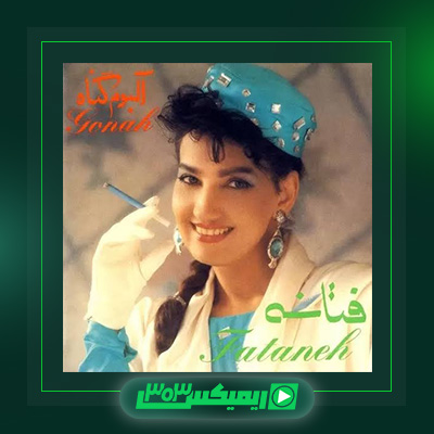 دانلود آهنگ فتانه  به نام چرا رفتی