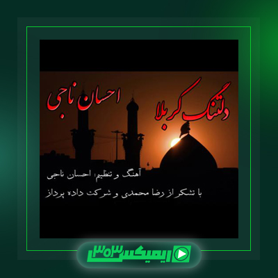دانلود آهنگ احسان ناجی  به نام دلتنگ کربلا