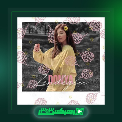 دانلود آهنگ دنیا دادرسان  به نام قصر رویایی