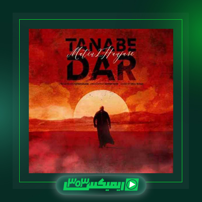 دانلود آهنگ متین دو حنجره  به نام دیوانه شهر