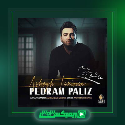 دانلود آهنگ پدرام پالیز  به نام مجنونم